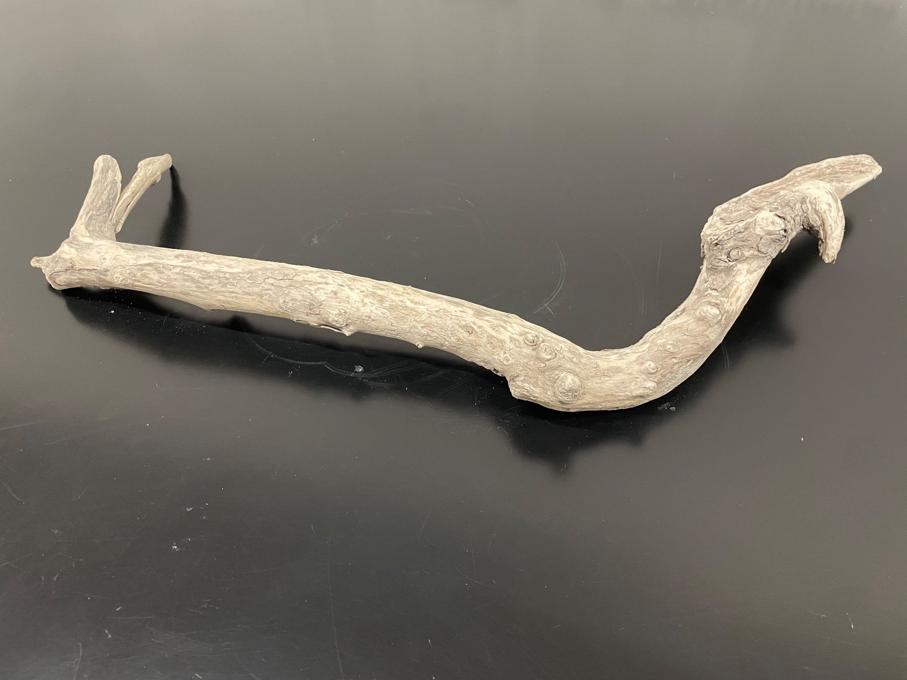 Tutte le decorazioni: Schwemmholz_Natur – Usato da Flawil venduto da Waldau1A 8