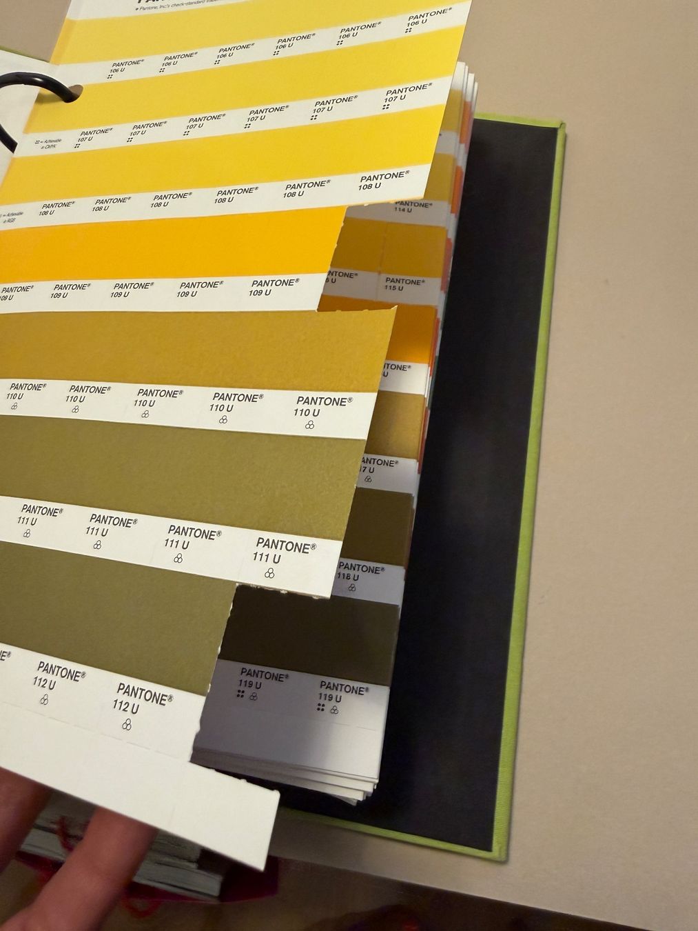 Libri: Original Pantone SOLID CHIPS Farbkarten set coated /uncoated – Usato da Zürich venduto da Ivo75 2