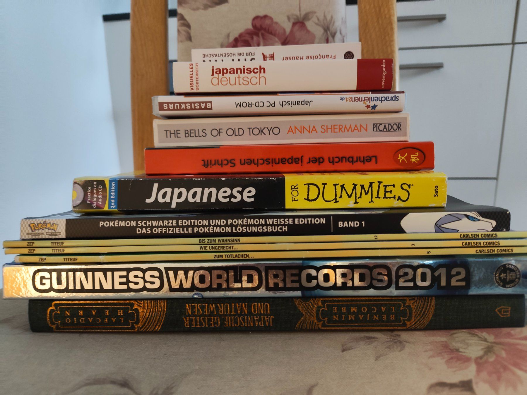 Libri: Diverse Bücher verschiedene Genres & Sachbücher – Usato da Bern venduto da Timo-Mo 2