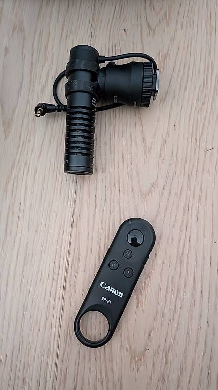 Canon Kamera: Canon EOS 250D – Gebraucht aus Frauenfeld von Ragons77 1