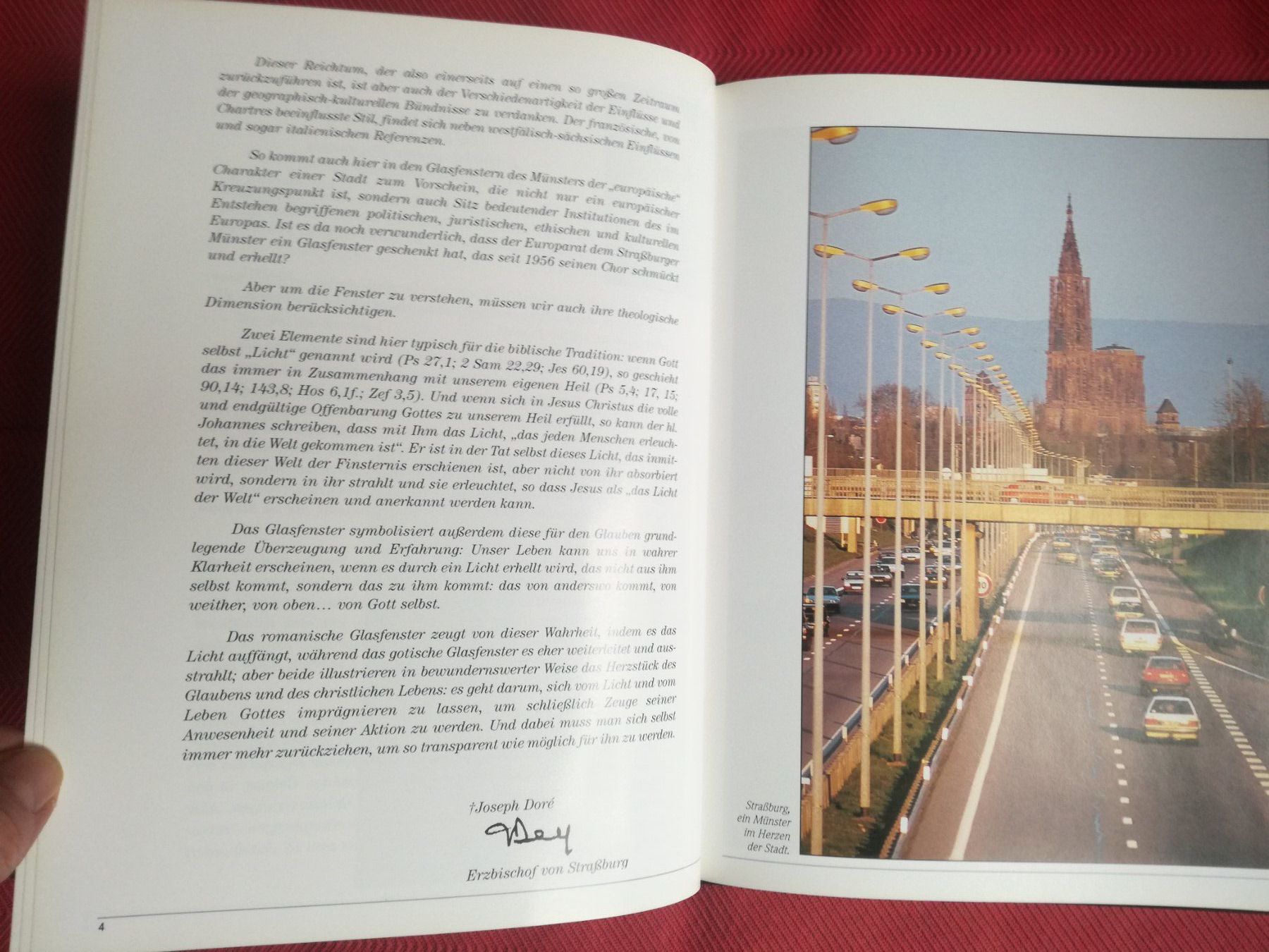 Livres: Das Strassburger Münster – D'occasion à Zürich par Tolima194 3