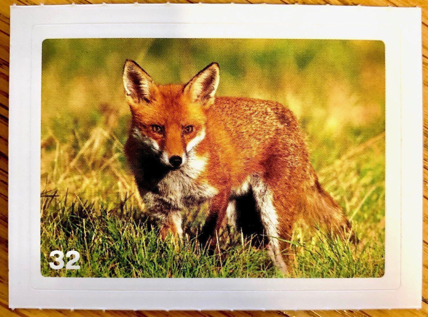 Migros Carte collezionabili: Migros Nature Detectives - Bild Nr. 32 – Nuovo (secondo la descrizione) da Oberrieden venduto da Zimmerberg10