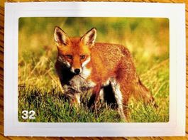 Migros Nature Detectives - Bild Nr. 32