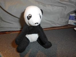 Panda - Bär, schwarz/weiss
