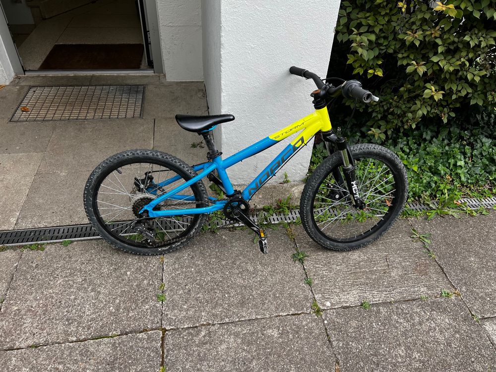 Hiland 20 Zoll Kinder Mountainbike - 7 Gang, Fat Tires, Scheibenbremsen