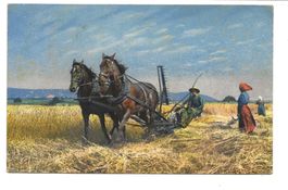 Landwirtschaft - Bauer beim Korn schneiden - Pferde - 1920