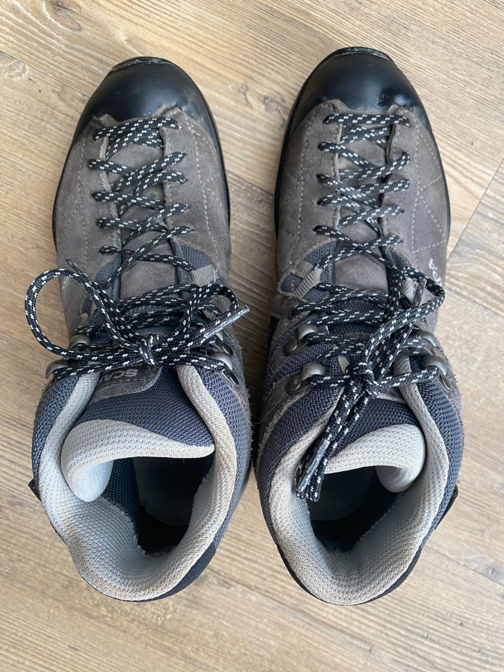 Scarpa Scarpe da uomo: Wanderschuhe Trekkingschuhe Scarpa Goretex, Gr. 38 – Usato da Amriswil venduto da Egoldi 3