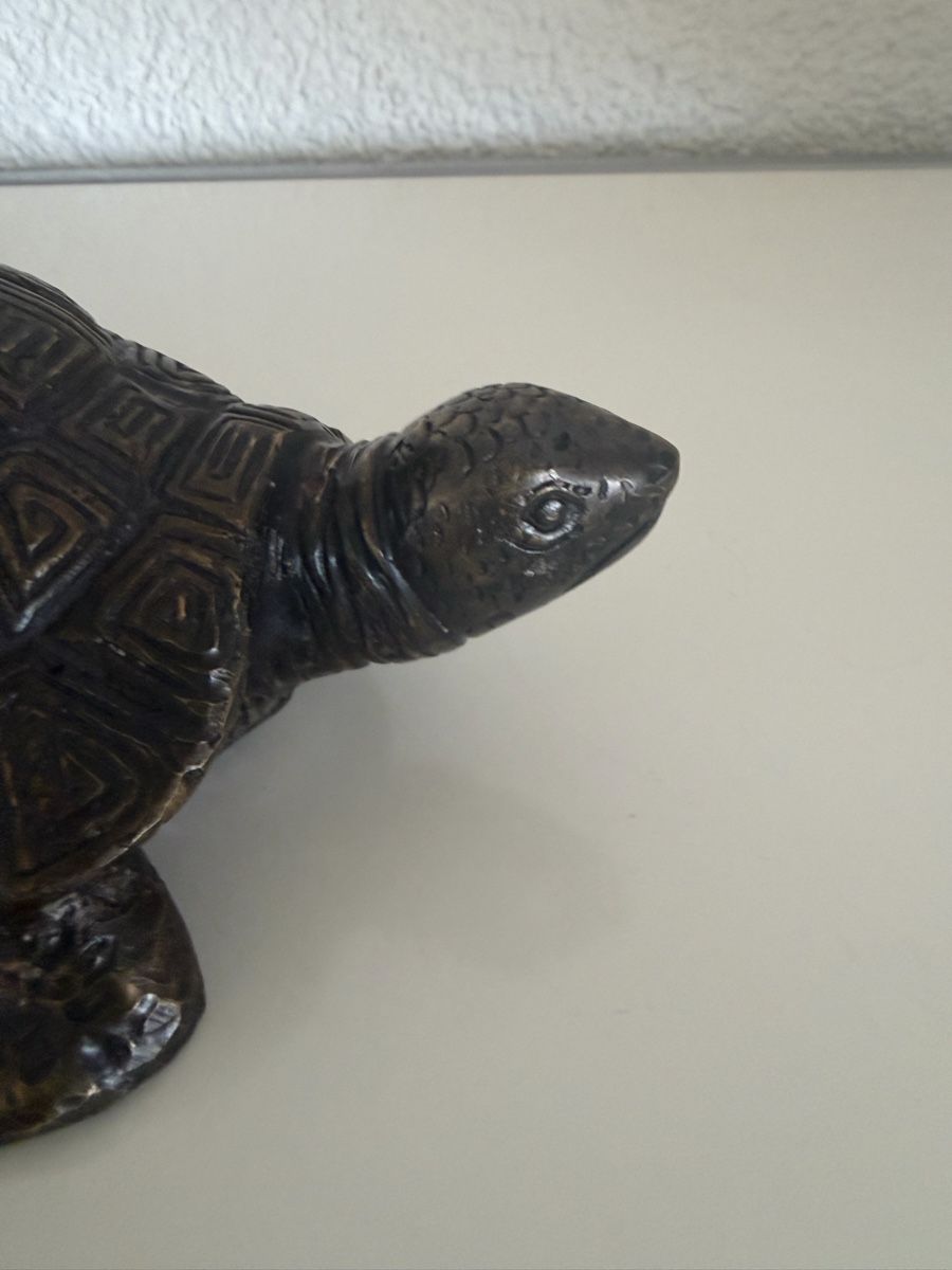 Sculture & Statue: Bronze, Schildkröte detailliert – Nuovo (secondo la descrizione) da Zürich venduto da eileenchen1 4