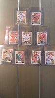Panini FIFA 10 STK Extra Sticker Bronze