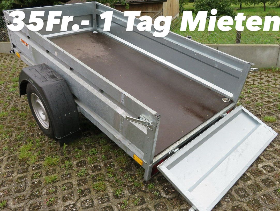 Neptun Anhänger: Anhänger vermietung – Neu (gemäss Beschreibung) aus Biel/Bienne von 3dtm_Shop