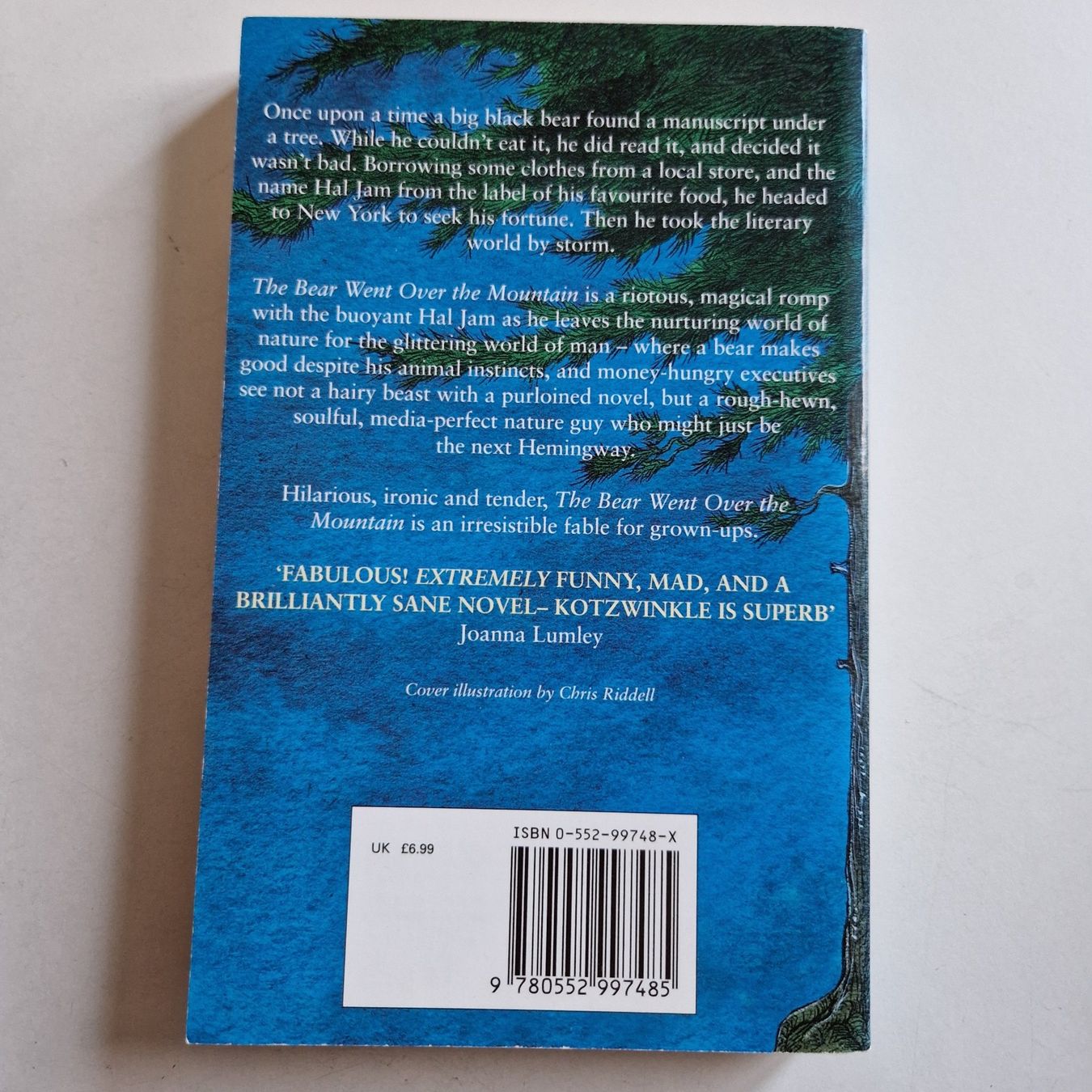 Libri: The Bear Went Over The Mountain – Usato da Rüti ZH venduto da Gigelisuppe 1
