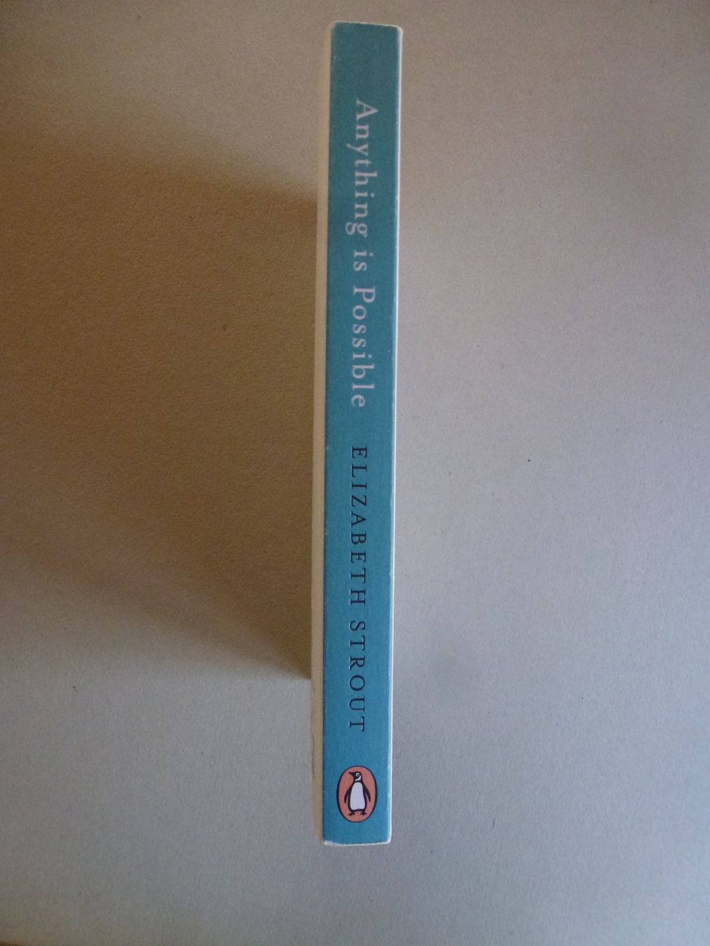 Bücher: Anything is Possible - Elizabeth Strout – Gebraucht aus Mühlrüti von Dadadachs 1