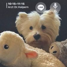 Profile image of Tigra10