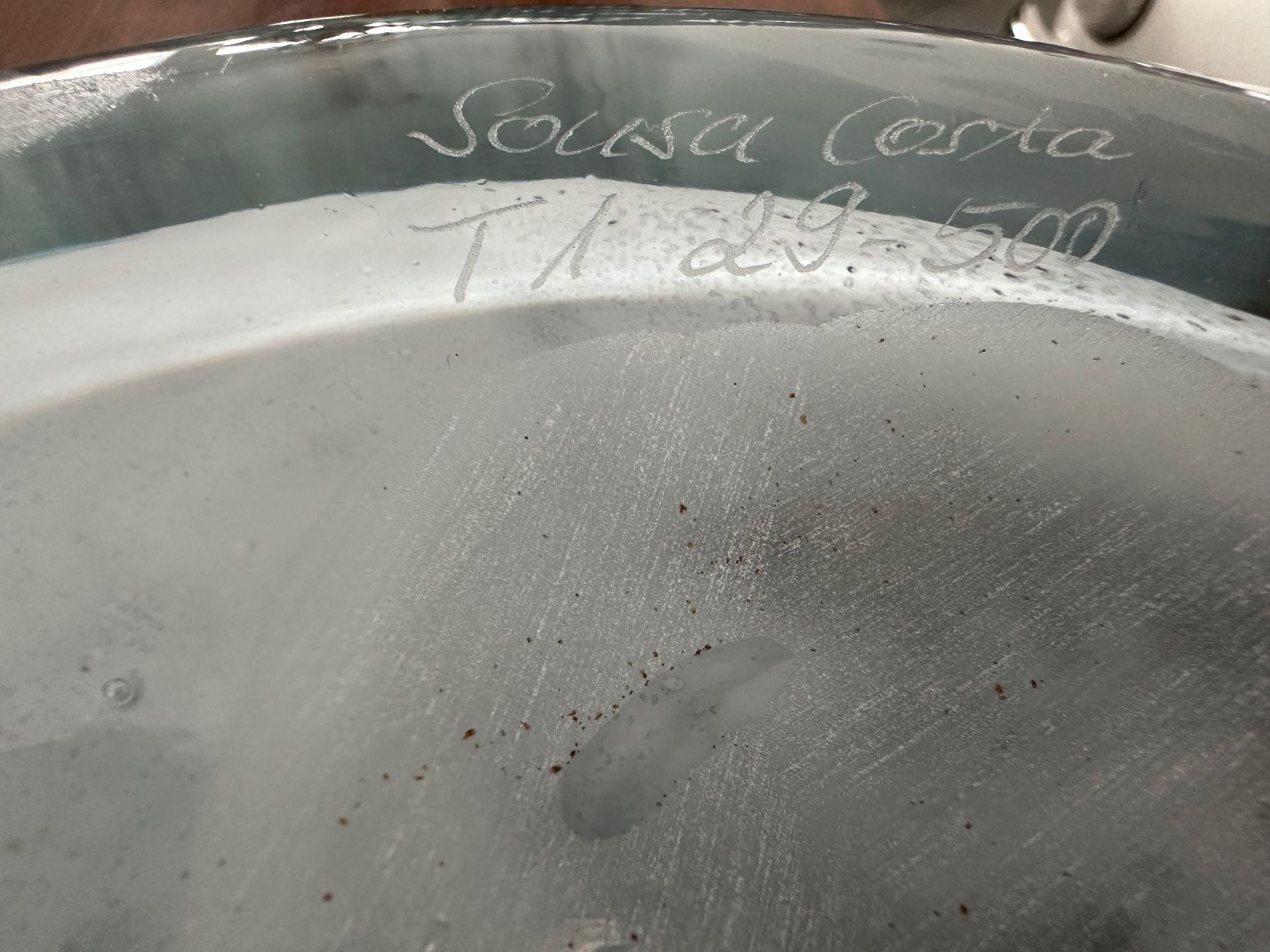 Bicchieri: XL Sousa Costa Glas Schale – Usato da Zürich venduto da frauflufelberg 2