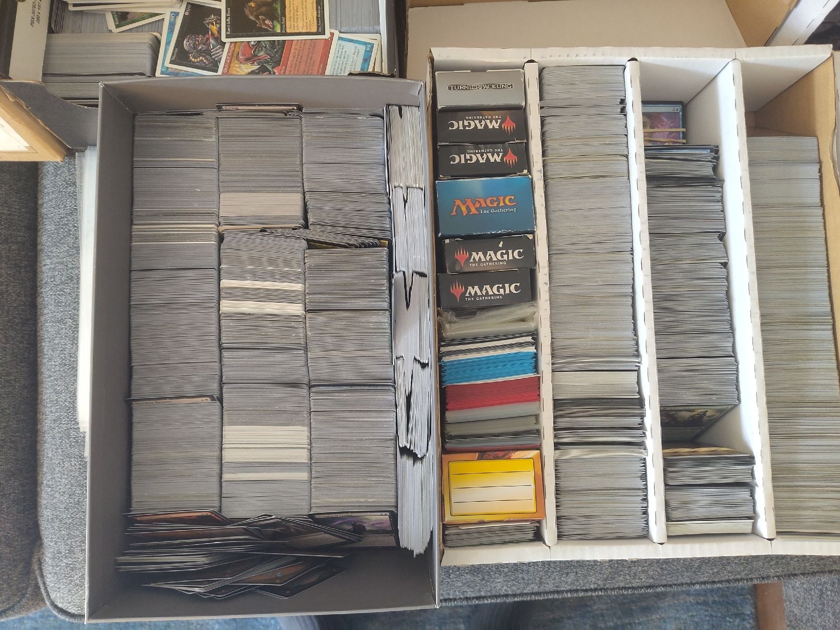 Giochi: Grosse Magic the Gathering Sammlung  – Usato da Kriens venduto da BIG-UP 3