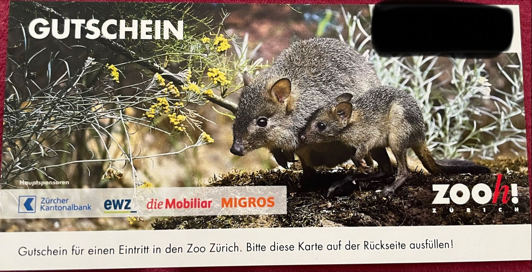 Buoni: Gutscheine Zürich Zoo – Nuovo (secondo la descrizione) da Rotkreuz venduto da Rajah