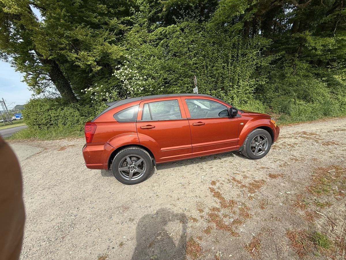 Automobili: Dodge caliber ab Service und mfk – Usato da Wiezikon b.Sirnach venduto da san_2msd 7