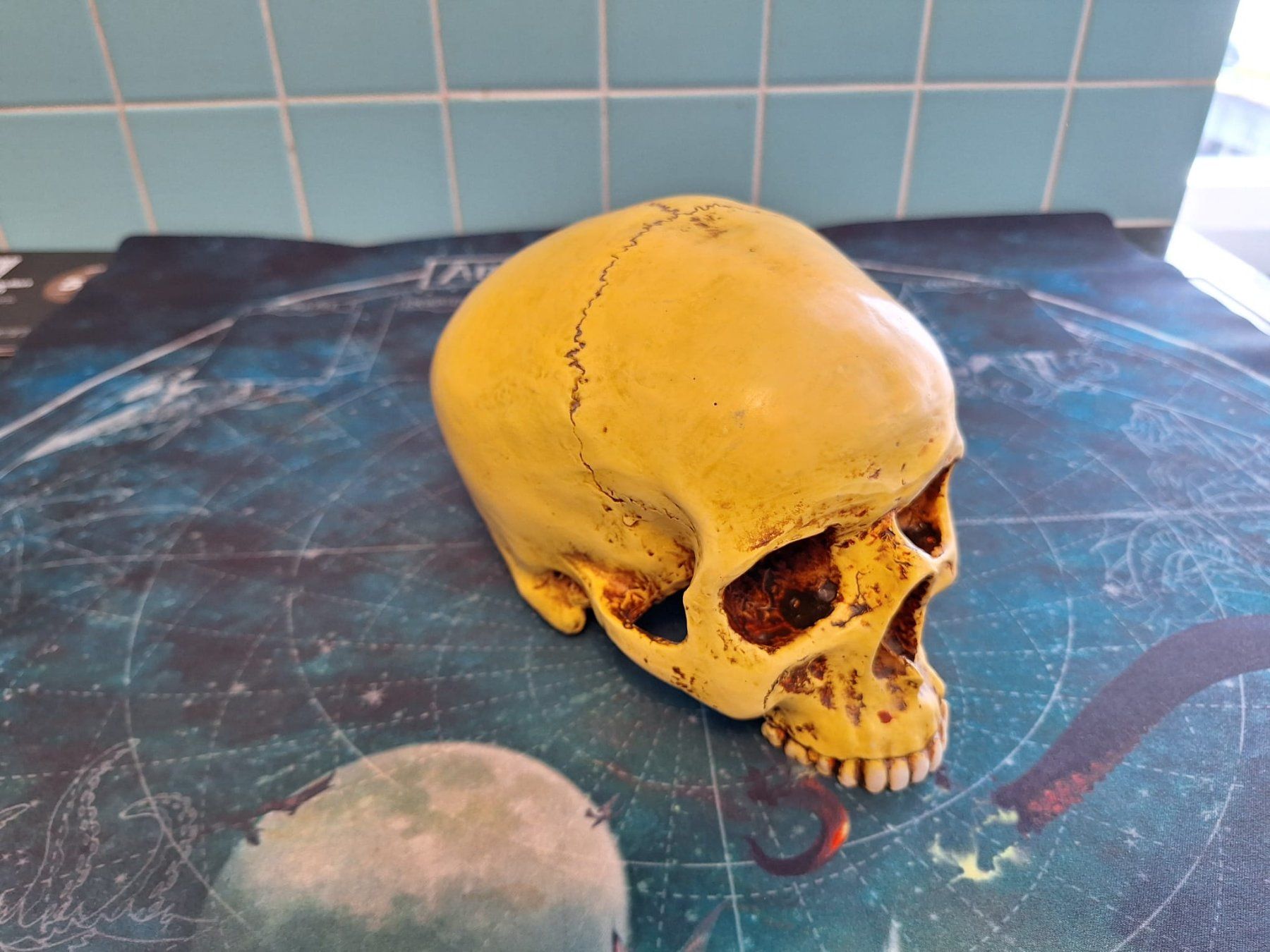 Statuette: Deko Schädel, Totenkopf – Usato da Aarau venduto da bag_t65l