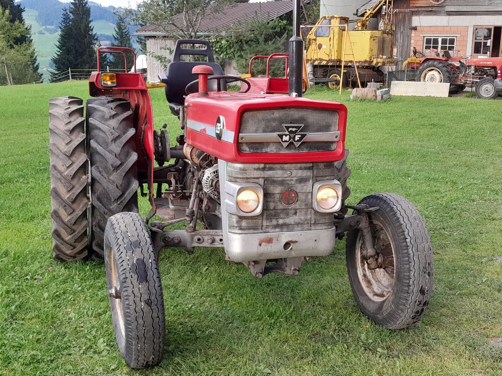 Massey Ferguson Trattori: massey Ferguson 135 – Usato da Schangnau venduto da roesti71 1