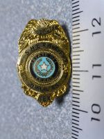 PIN PINS POLIZEI POLICE POLIZIA USA Sheriff Stern Abzeichen