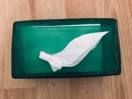 Grüne Box für Kleenex, ideal für den Winter