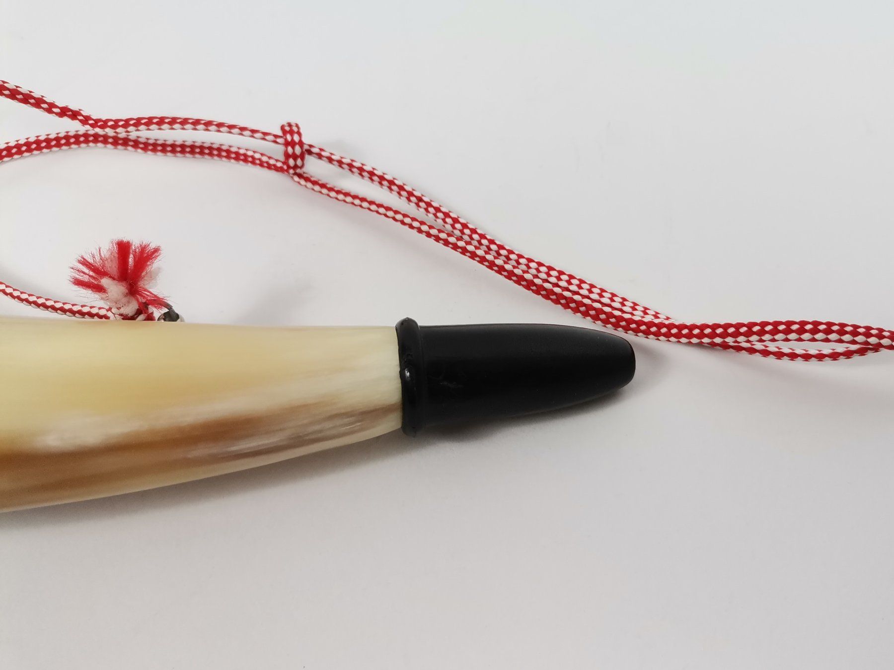 Blasinstrumente: Rufhorn mit Mundstück an Schnur – Gebraucht aus Schaffhausen von  2