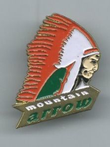 Plaketten & Abzeichen: Mountain Arrow Pin – Gebraucht aus Zürich von t24_de