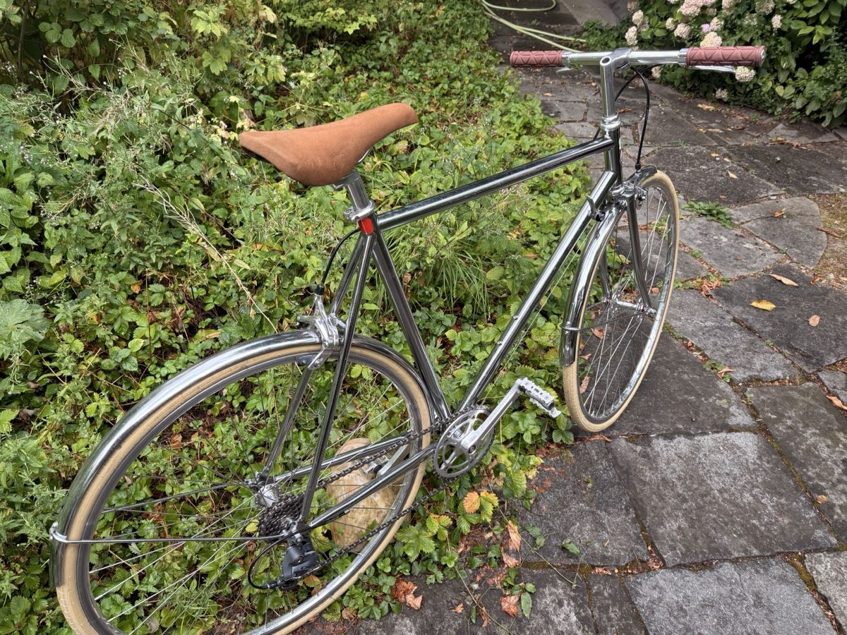Vélos: Weisswangenkauz Velo – D'occasion à Bern par miirmiir 2