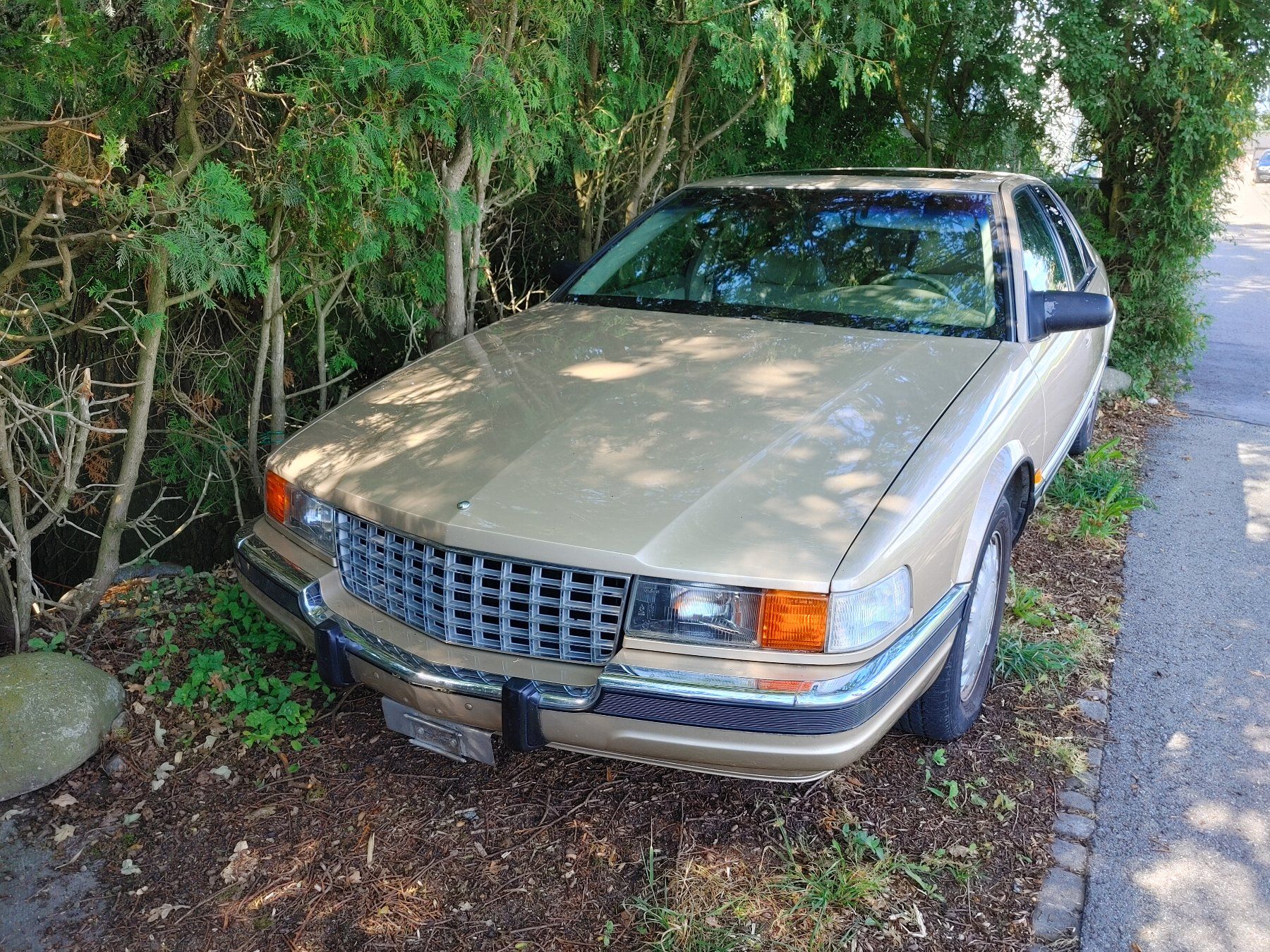 Cadillac Automobili: Cadillac Seville / 4,9 l – Usato da Kerzers venduto da Rtvjohner 1