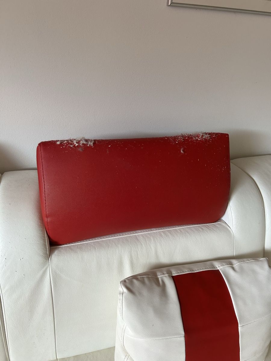 Divani: Echt Leder Sofa – Usato da Wolfhausen venduto da eil_jc5j 4