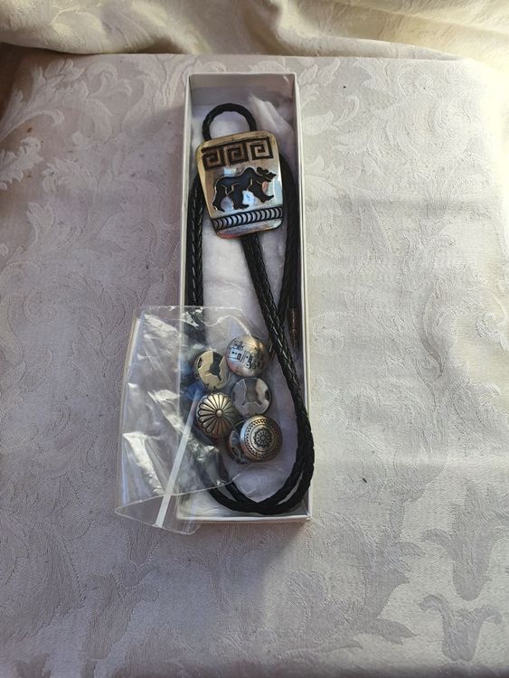 Ferma colletto in pelle e metallo Kaufen auf Ricardo