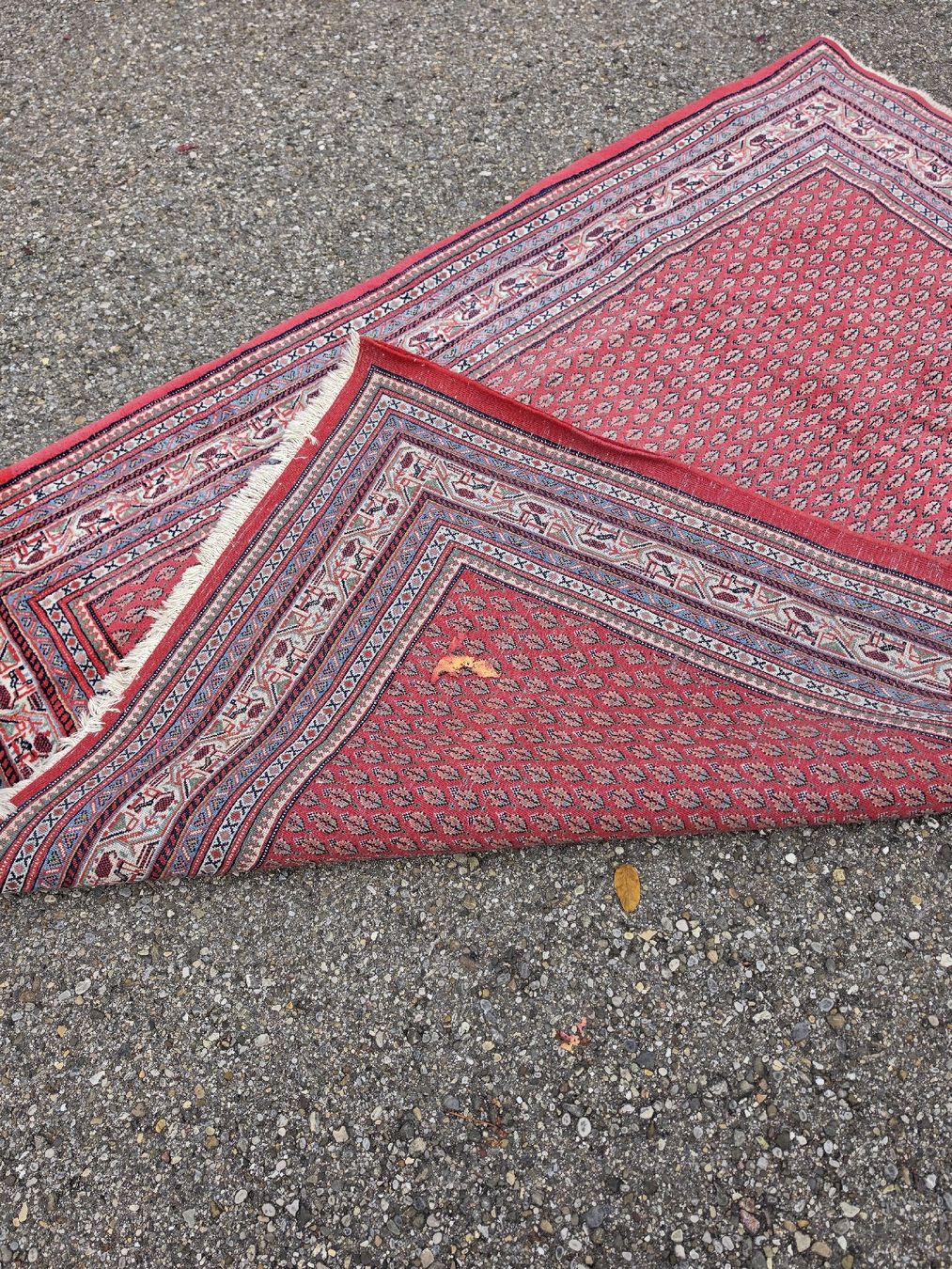 Tappeti: Teppich rot mit Fransen gebrauchter Zustand – Usato da Mettlen venduto da elios0888 7