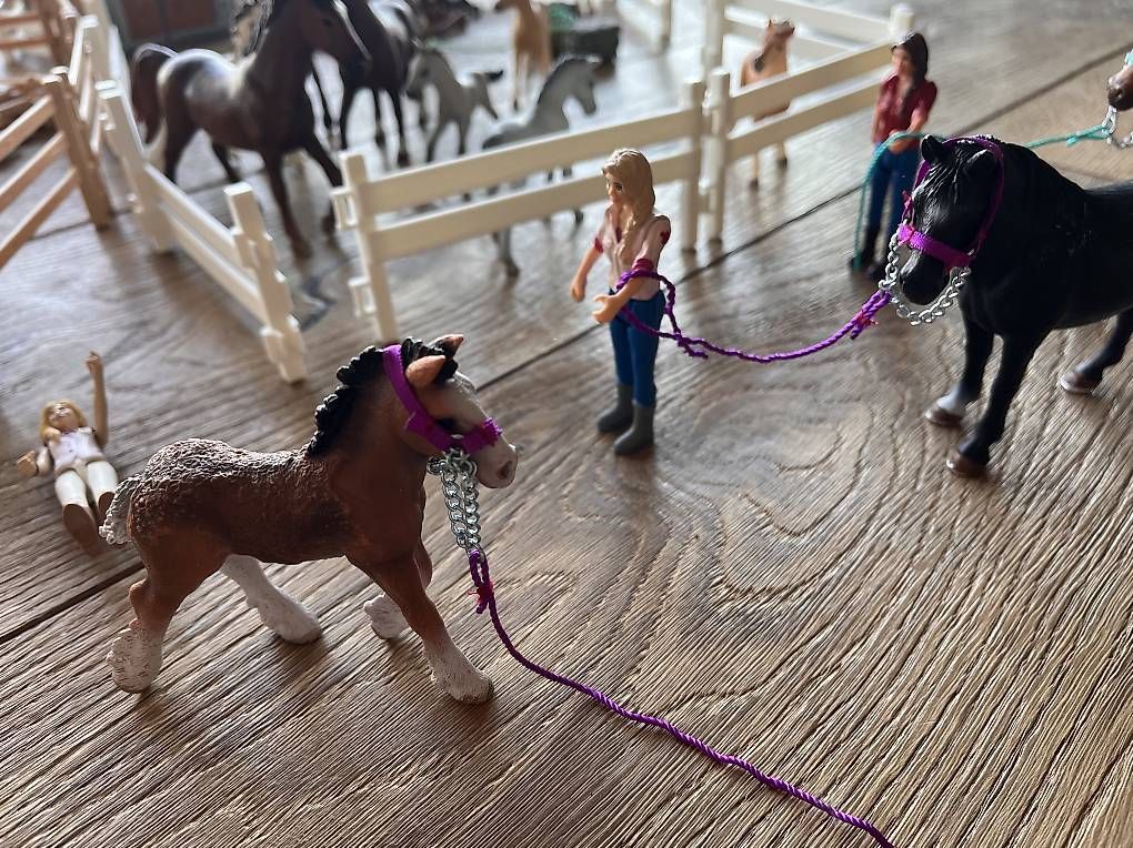 Schleich Giocattoli: 16 Schleich Pferde mit diversem Zubehör – Usato da Steffisburg venduto da car_qwr6 1