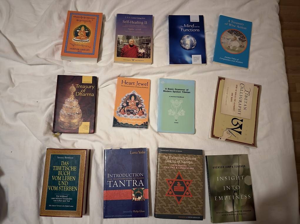Libri: The mind and its functions – Usato da Basel venduto da SuraCh