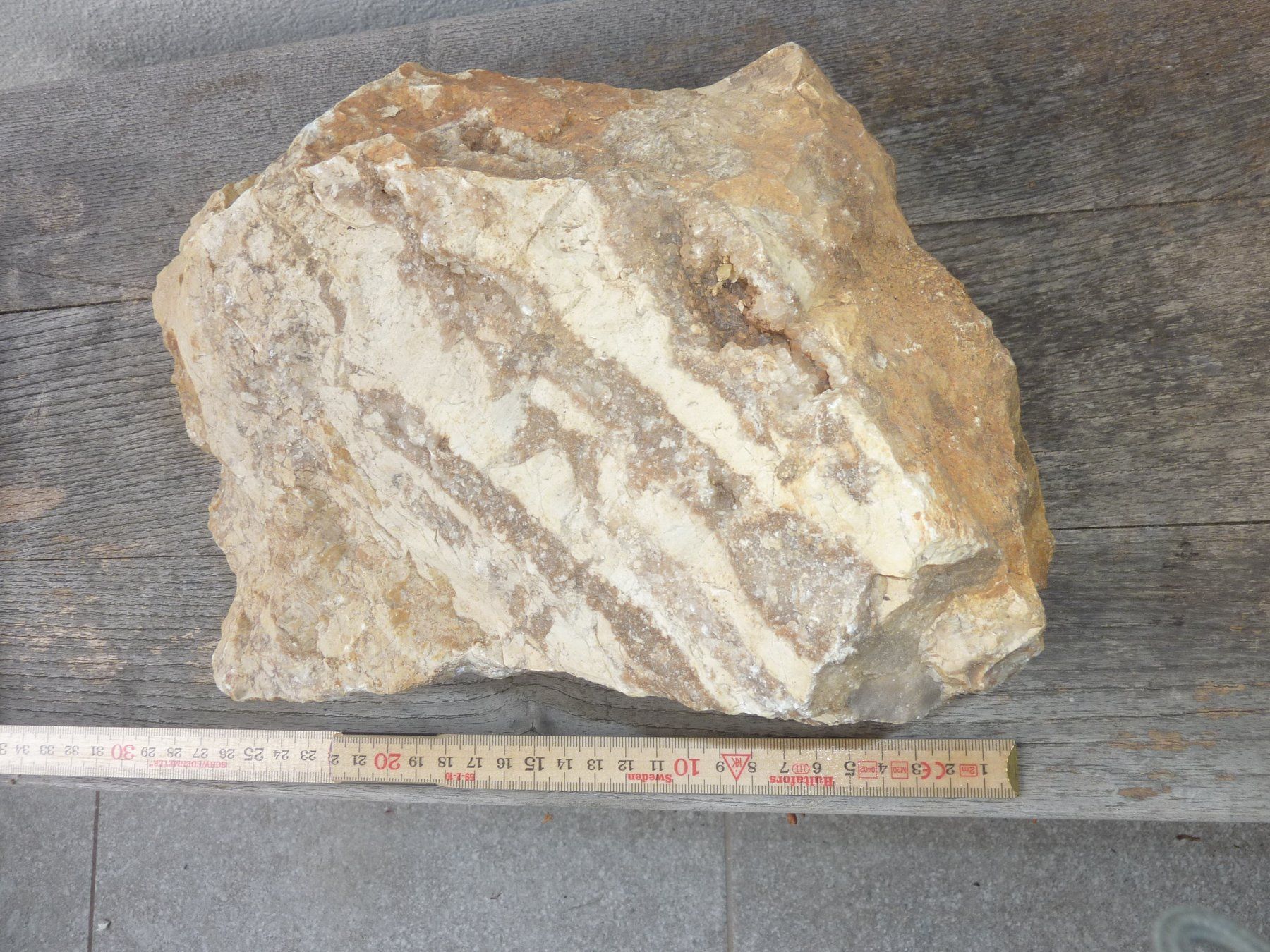 Fossili: Grosse, versteinerte Koralle, Rohstein – Nuovo (secondo la descrizione) da Triengen venduto da Nussbaum14 3