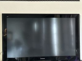 Plasma Panasonic älteres Modell 