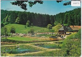 Schwarzwaldgasthof Tannenmühle