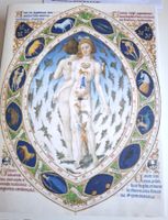 CODICES ILLUSTRES. I codici miniati più belli del mondo dal