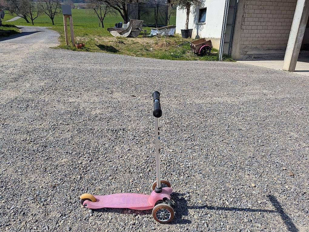 Kickboard: Trottinett Micro  – Usato da Alikon venduto da 1878d 1