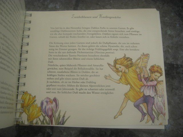 Calendari: Flower Fairies Garten Jahr – Usato da reitnau venduto da Sib7 4