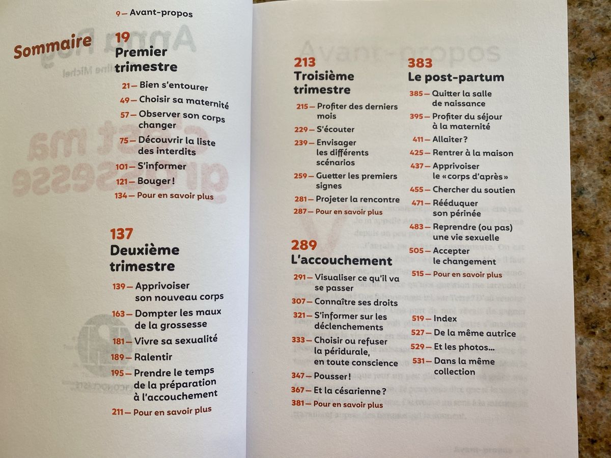Libri: C'est ma grossesse - Anna Roy – Nuovo (secondo la descrizione) da Fully venduto da Lisa127 2