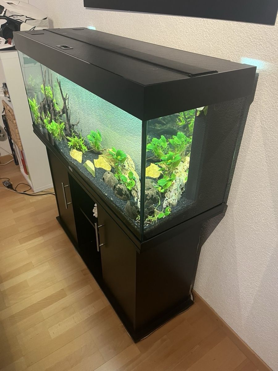 Juwel Acquari: Aquarium 240l, Top Zustand – Usato da Hurden venduto da Flori2803