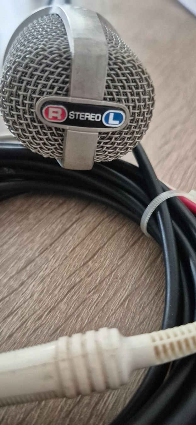 Microfoni: Aiwa Stereo Mikrofon – Usato da Lyss venduto da Delta-1 2