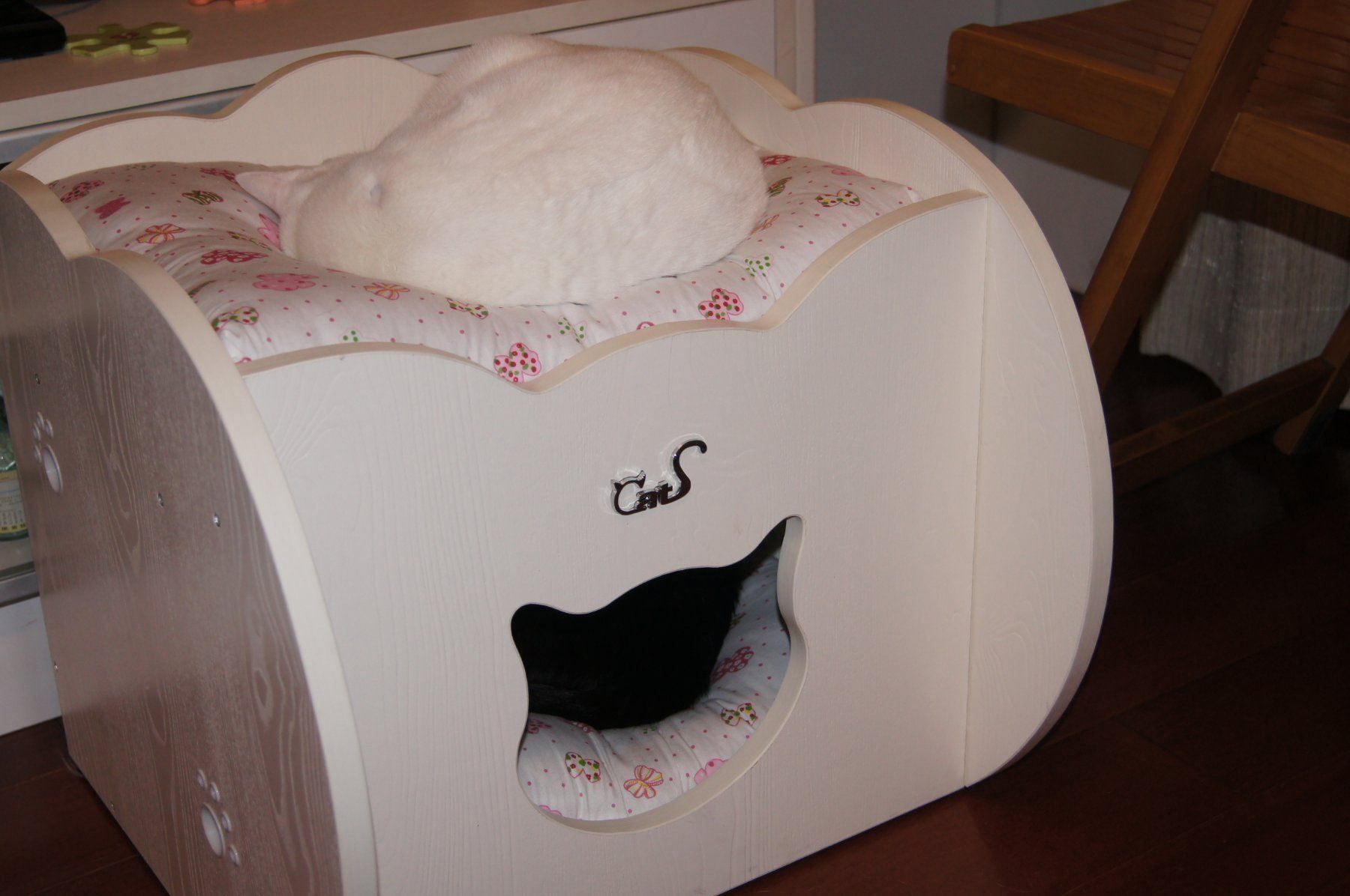Cucce & Letti: CatS Design "Step 2 Kätzchenbettchen" CH – Nuovo e nell'imballaggio originale da Mönchengladbach venduto da Zoopplier 7