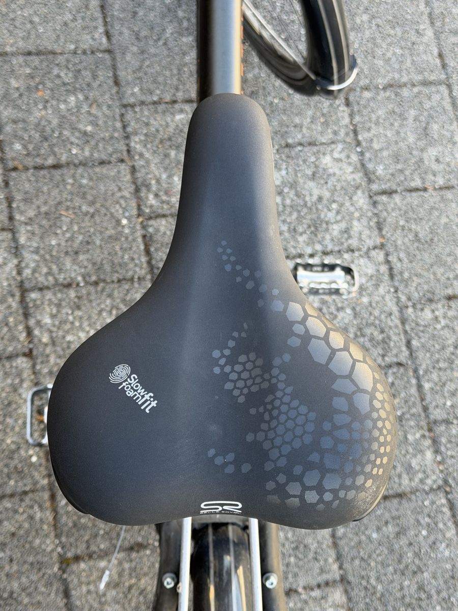 Raleigh Biciclette: Raleigh Dover E-Bike – Usato da Zofingen venduto da giu_p72q 5