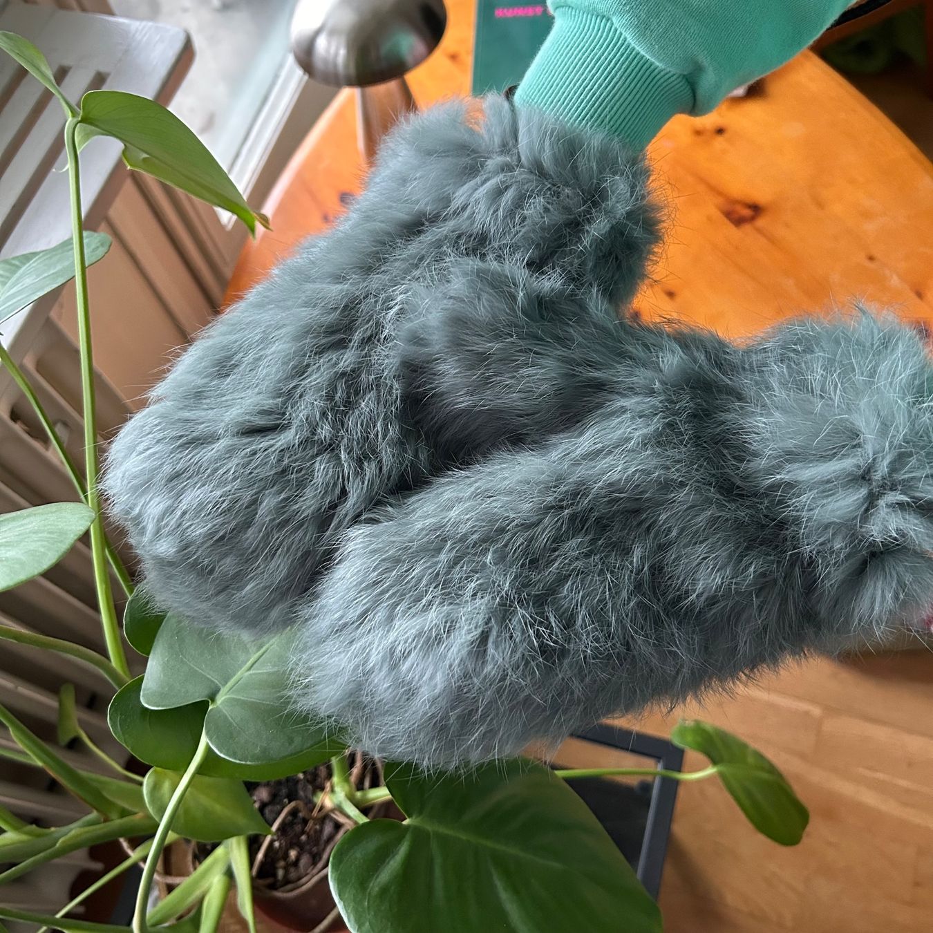 Guanti & manicotti: Pelzhandschuhe Kaninchen – Nuovo (secondo la descrizione) da Zürich venduto da tilala17 2
