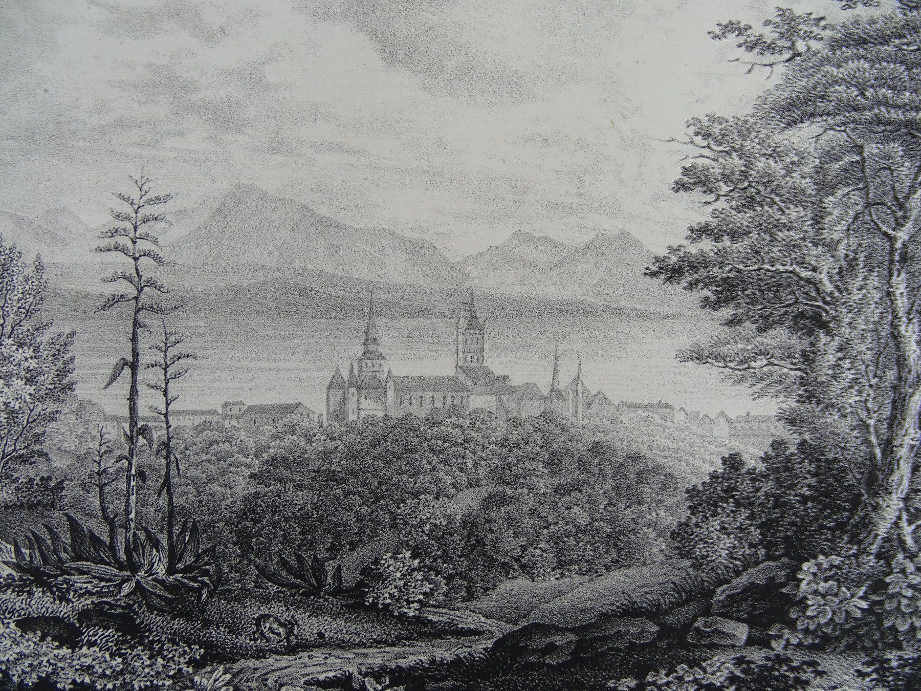 Incisioni: LAUSANNE, LITHOGRAPHIE 1836 – Usato da Grüningen venduto da Kartensammler 2