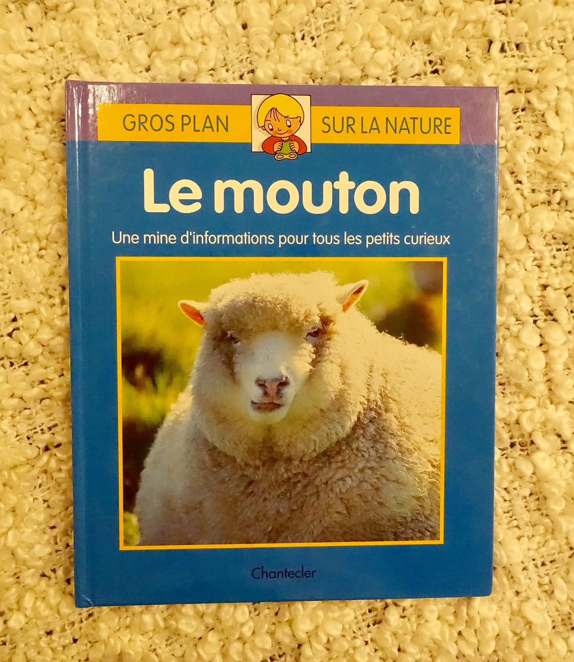 Libri: Livre enfant: le mouton – Nuovo (secondo la descrizione) da Genève venduto da fto_sz8d