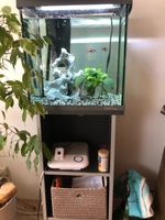 Aquarium-Kombination Tetra F30