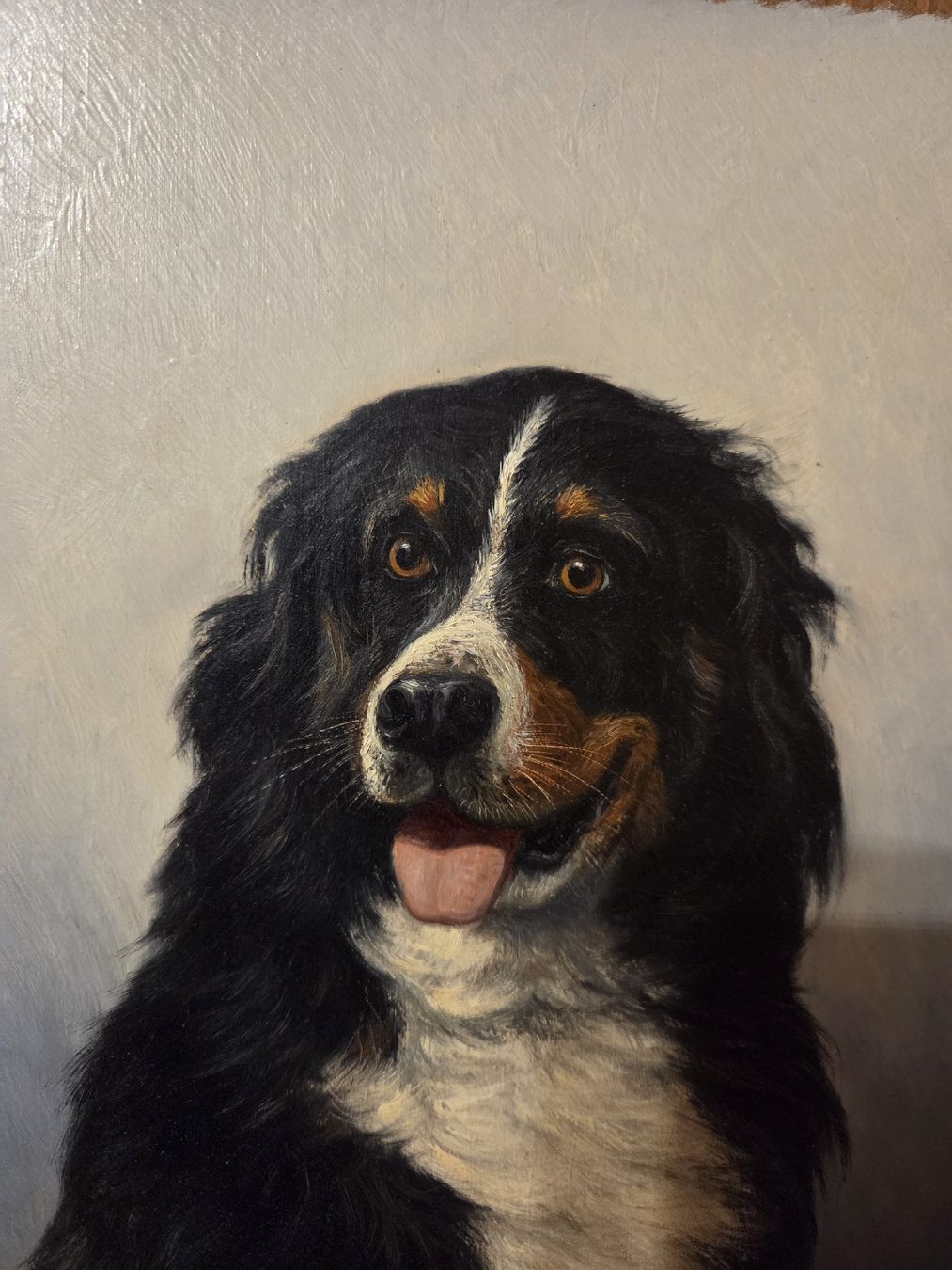 Dipinti: Marcel Moser Wildmaler BERNER SENNENHUND – Usato da Sevelen venduto da ViaFalo 1